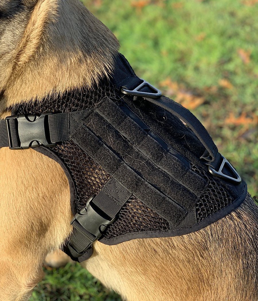 No-Pull Leather Dog Harness And Leash Set – Soft Adjustable Vest For Small Dogs (XXS/XS/S, Unisex)